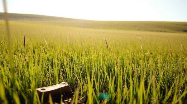 Top solutions écologiques pour l'entretien des sols efficaces