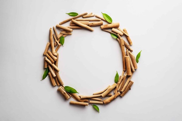 Quelles sont les meilleures pratiques pour la conservation de l'eau dans les jardins en climat aride?