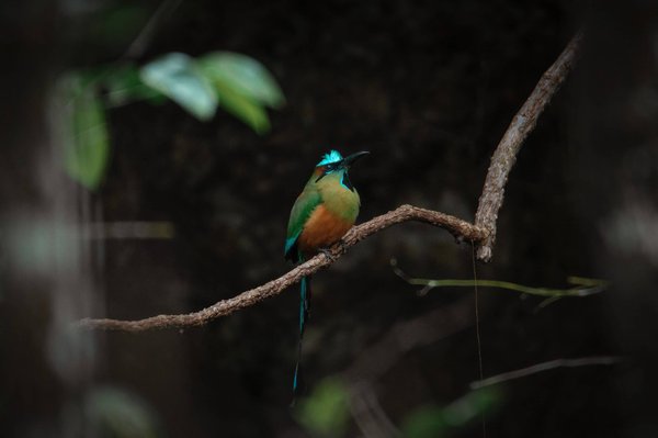 Déménagement en haute mer : Conseils pour transporter vos biens par voie maritime
